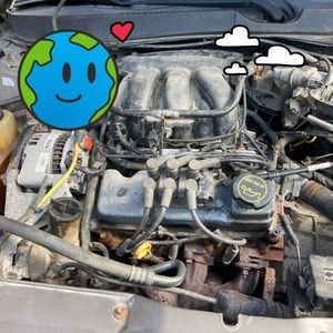 Meet your Posher, Markus